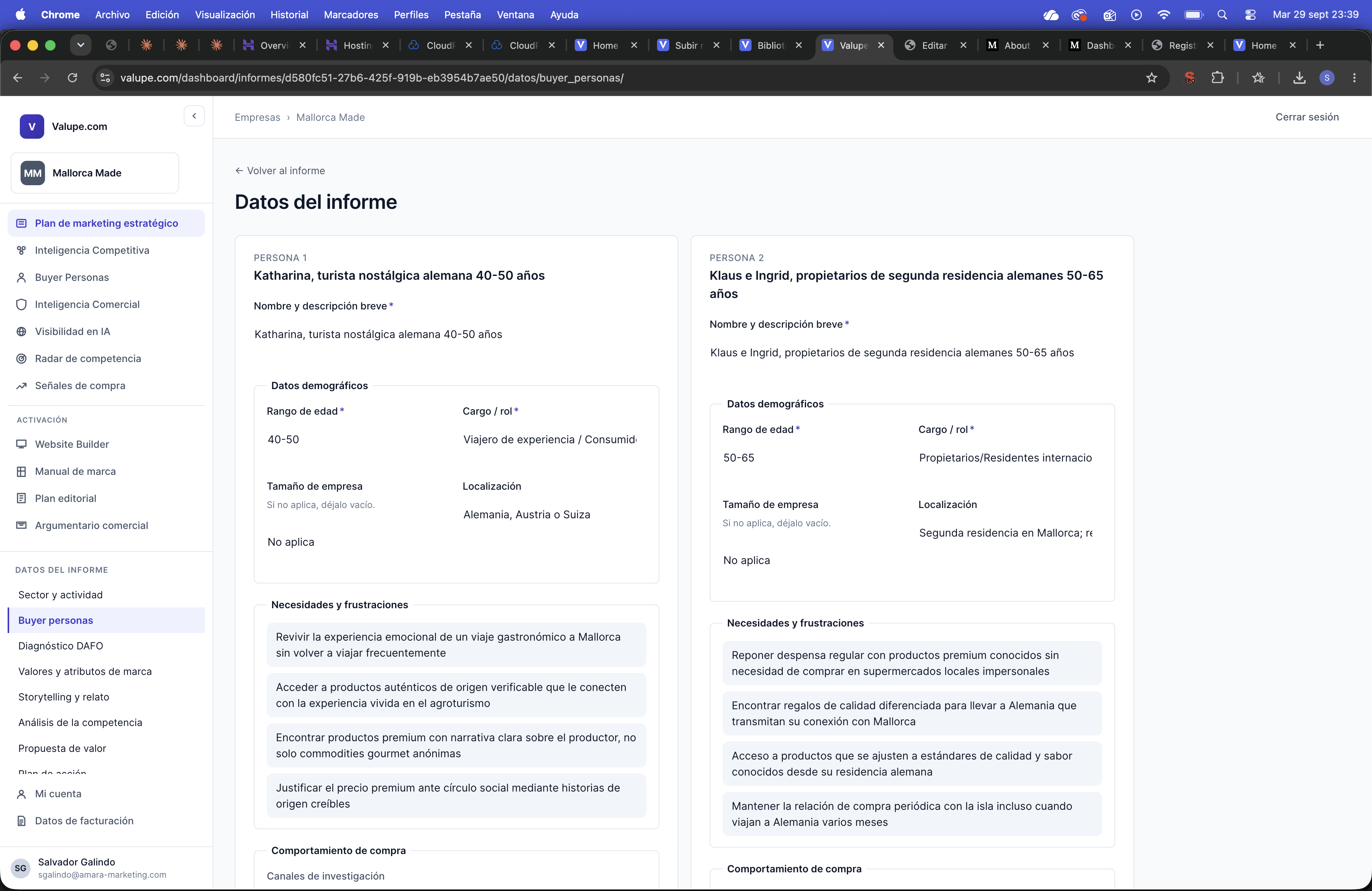 Pantalla de validación de datos antes de redactar un capítulo del informe